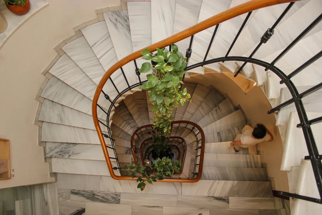 Escalier tournant en marbre à rampe en bois, vu d'en haut, plantes au centre